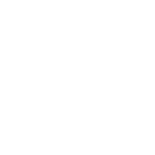 Customer Centricity