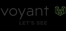 Voyant